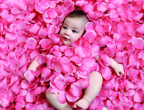 خواص گلاب برای پوست و خواب کودک و نوزاد-گل غلتان نوزاد در کاشان