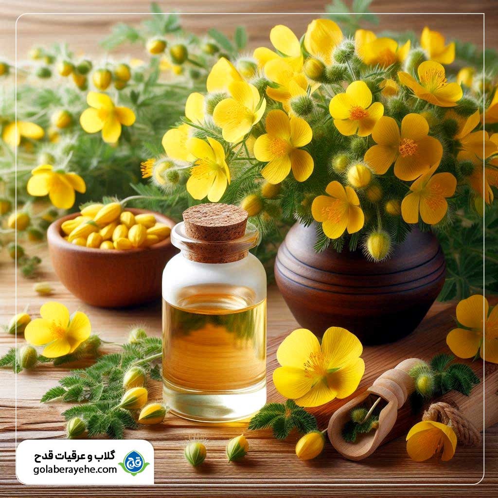 خواص عرق خارخاسک برای کبد،مردان