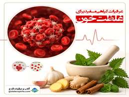 مستخلصات عشبية مفيدة لتركيز الدم  